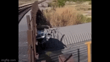 Acid GIFs, March 23 (25 gifs)