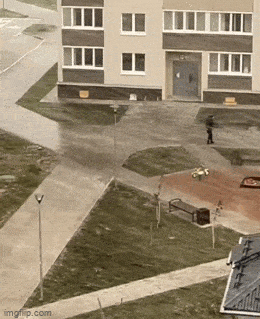 Acid GIFs, March 23 (25 gifs)