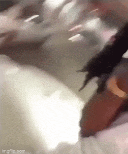 Acid GIFs, March 23 (25 gifs)