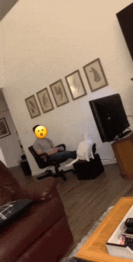 Acid GIFs, March 23 (25 gifs)