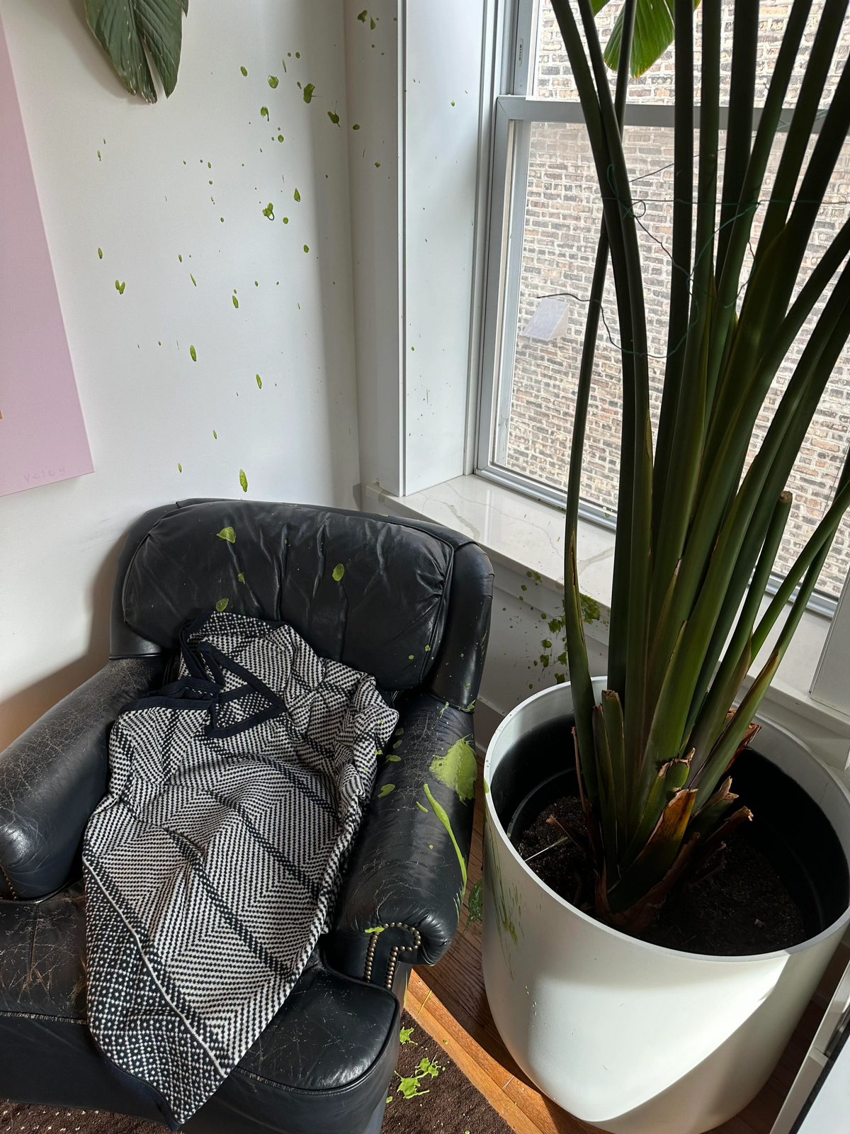 Bad Days Happen (30 pics)