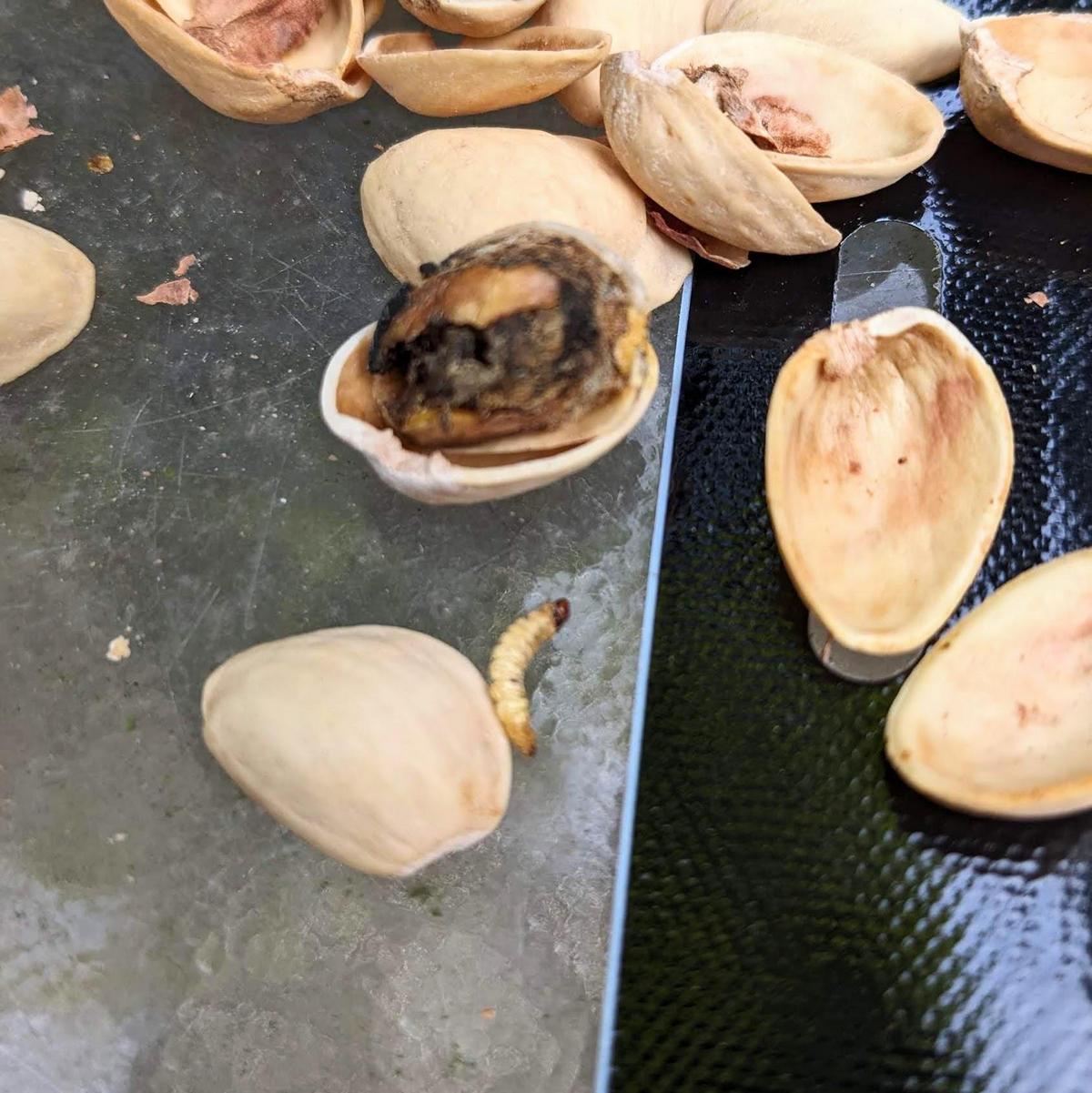 Bad Days Happen (30 pics)