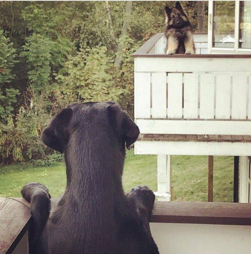 Daily Pictures. Part 1 (71 pics)