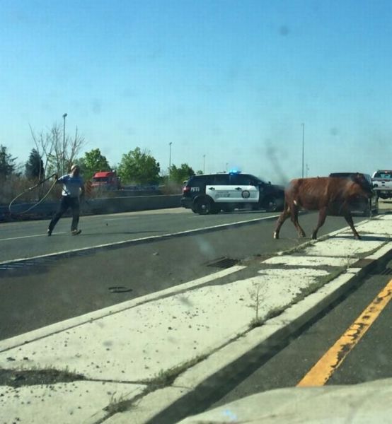 Daily Pictures. Part 1 (71 pics)