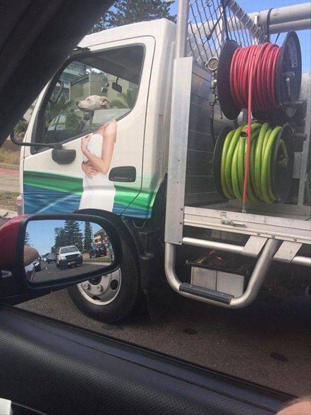 Daily Pictures. Part 1 (71 pics)