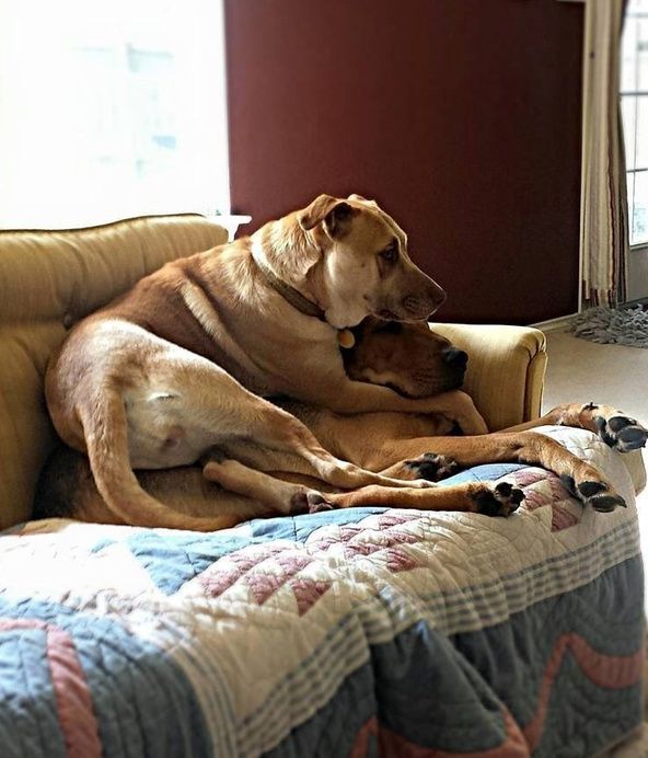 Daily Pictures. Part 1 (71 pics)