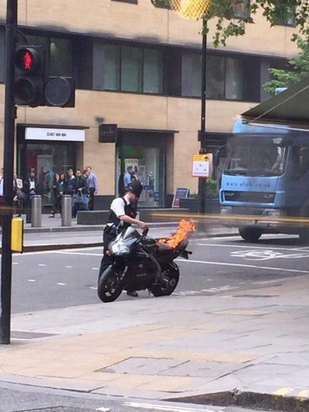 Daily Pictures. Part 1 (71 pics)