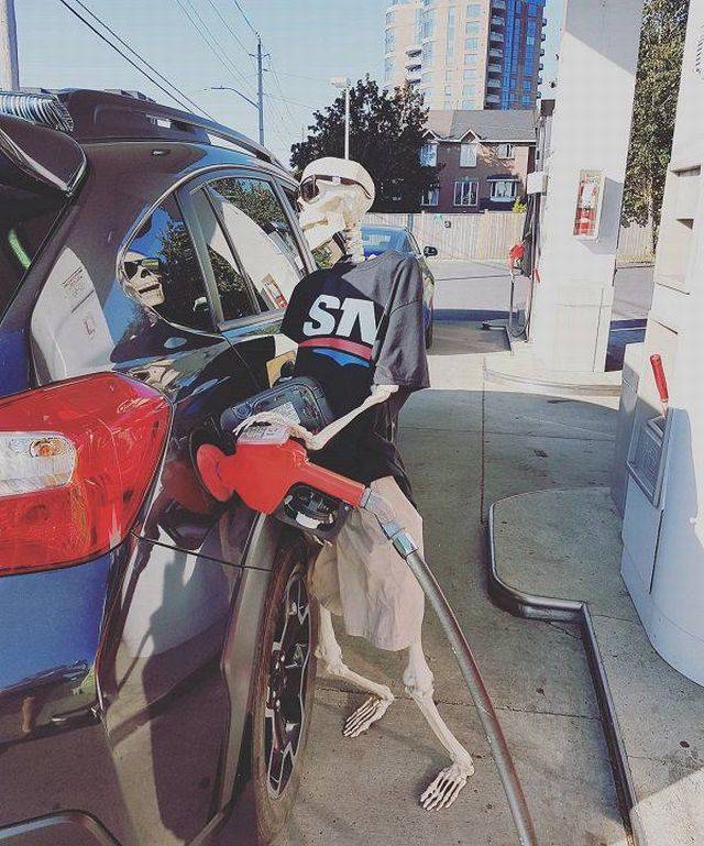 Daily Pictures. Part 1 (71 pics)