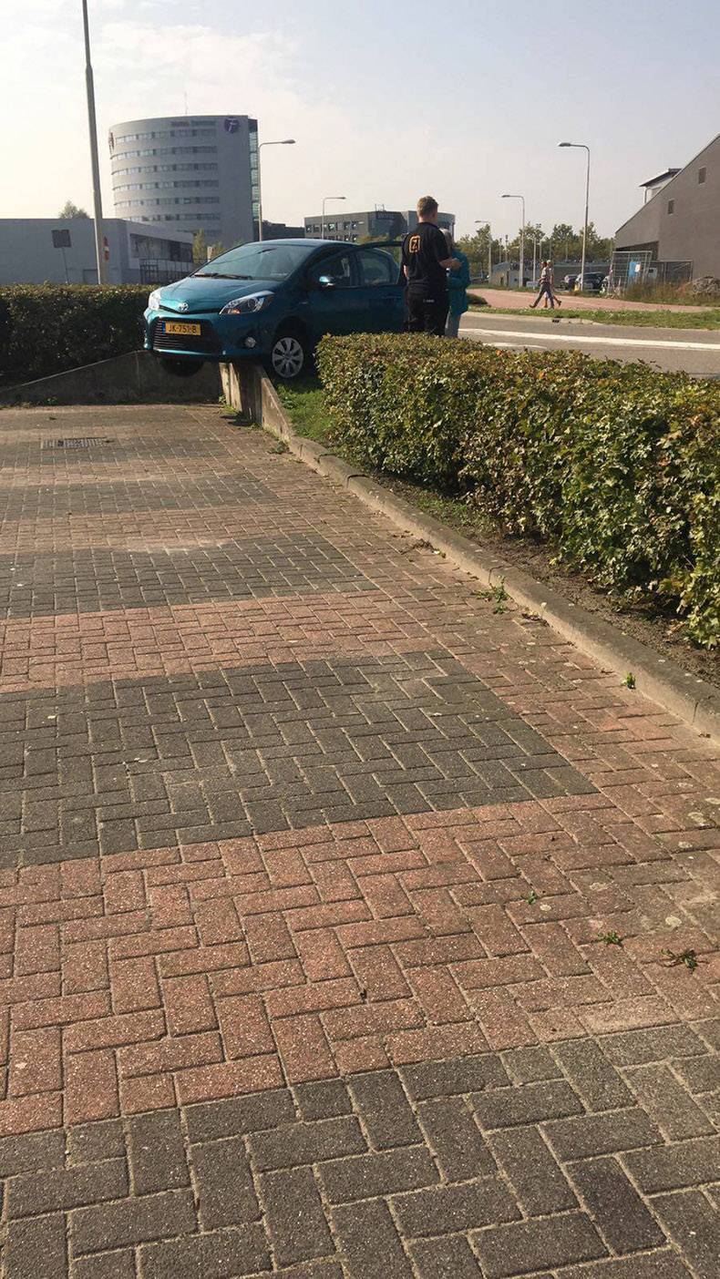 Daily Pictures. Part 1 (71 pics)