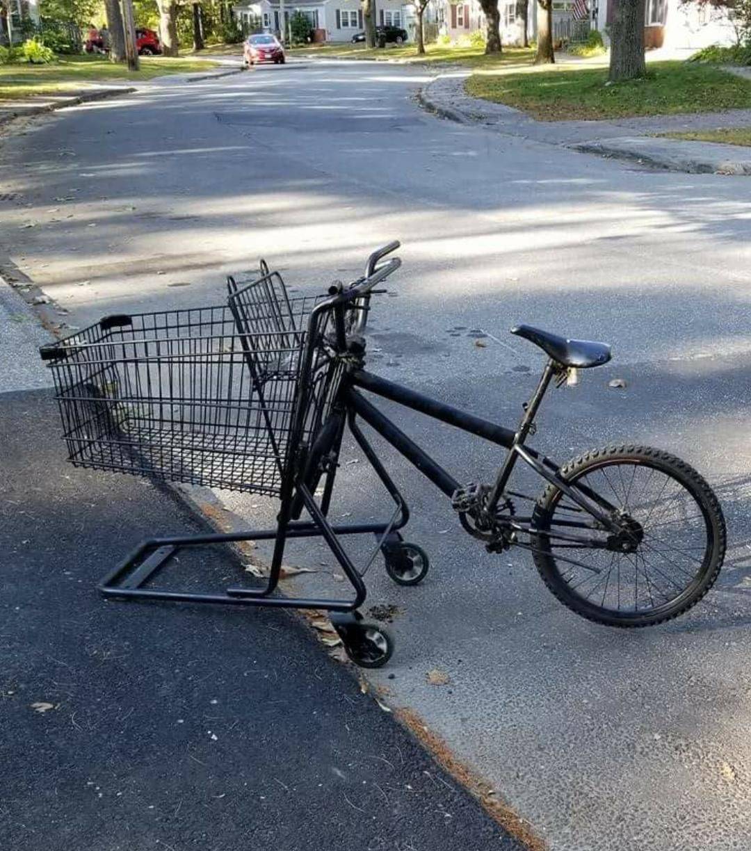 Daily Pictures. Part 1 (71 pics)