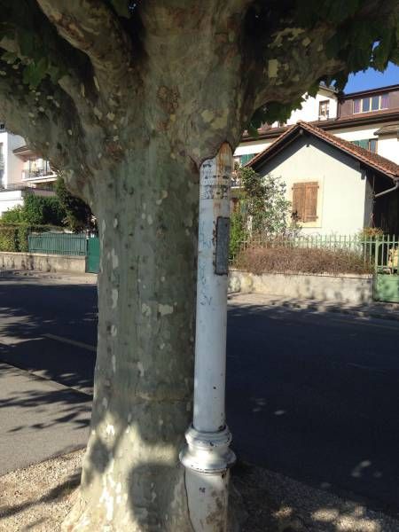 Daily Pictures. Part 1 (71 pics)