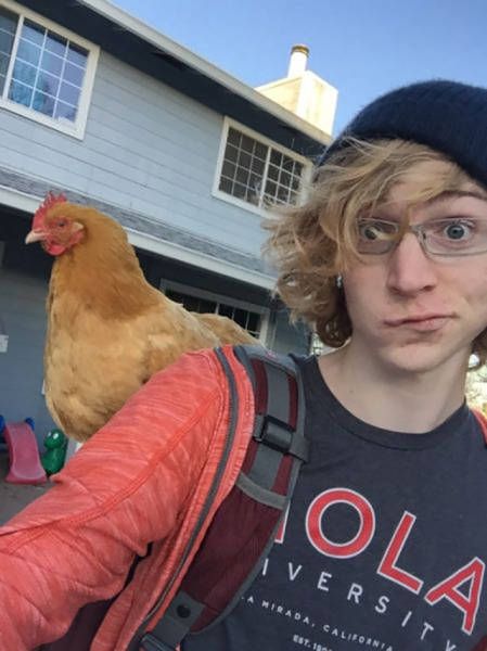 Daily Pictures. Part 1 (71 pics)