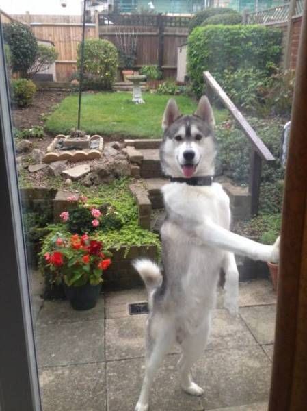 Daily Pictures. Part 1 (71 pics)