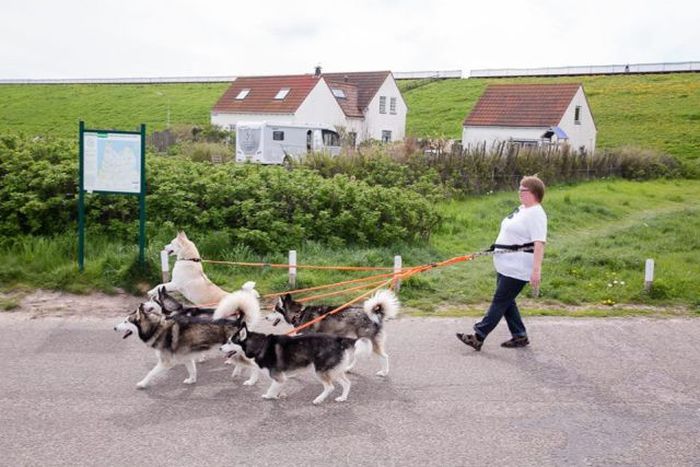 Daily Pictures. Part 1 (71 pics)