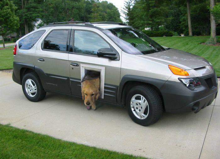 Daily Pictures. Part 1 (71 pics)