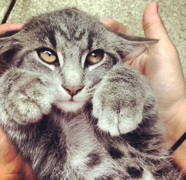 Daily Pictures. Part 1 (71 pics)