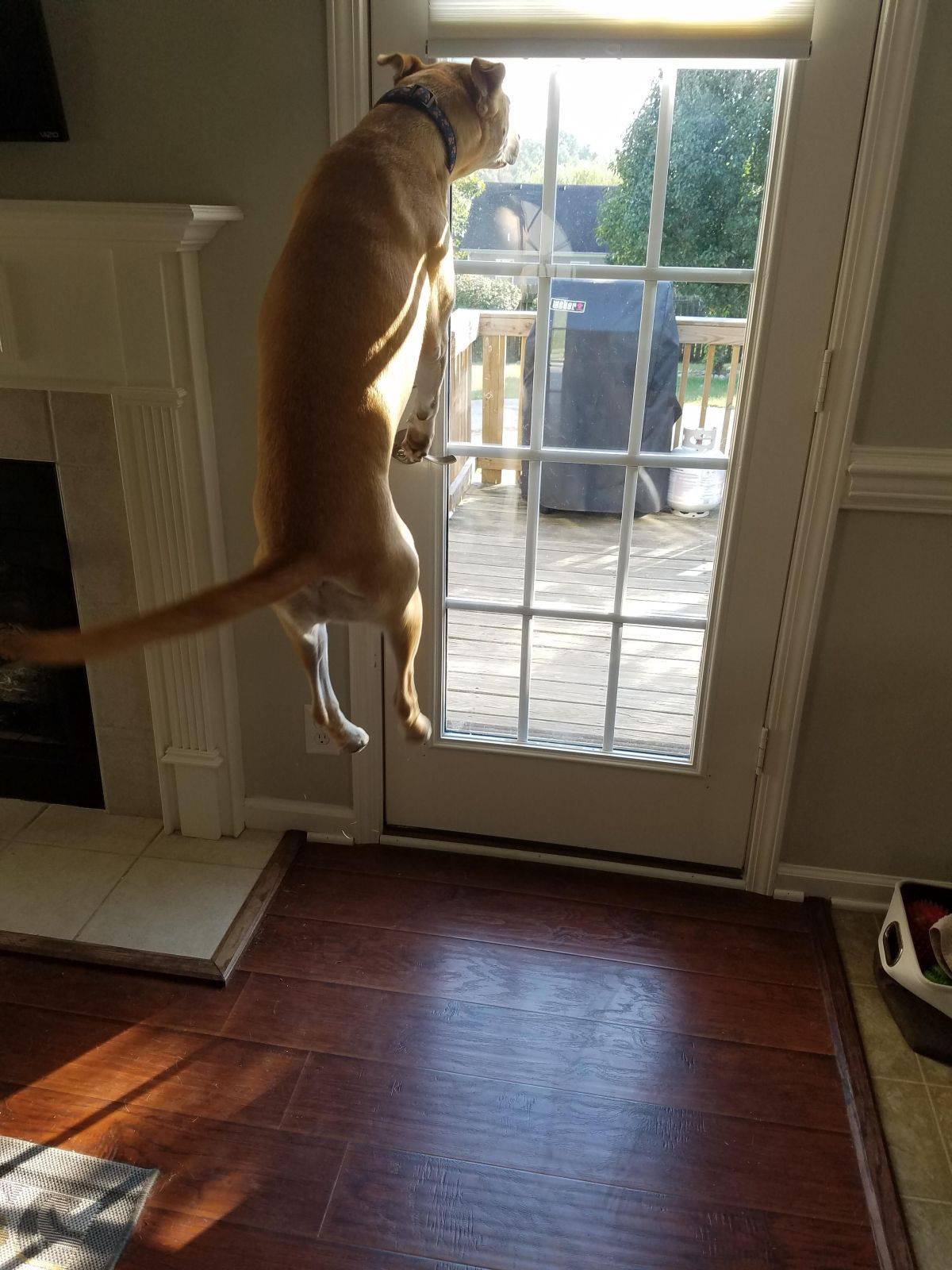 Daily Pictures. Part 1 (71 pics)