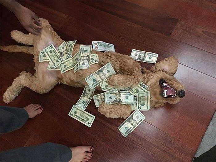 Daily Pictures. Part 2 (70 pics)