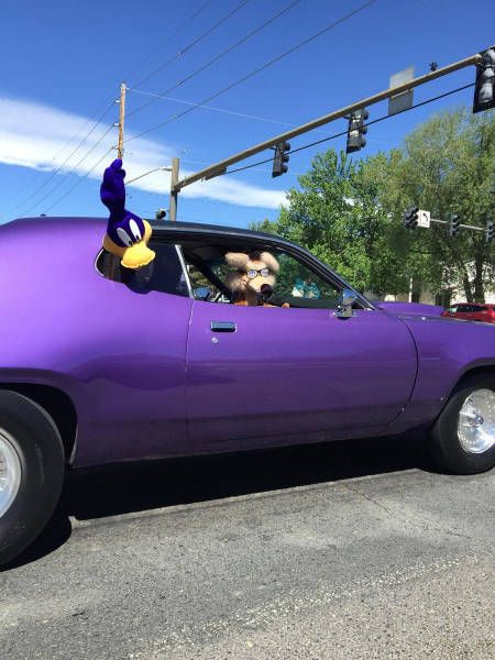 Daily Pictures. Part 1 (71 pics)