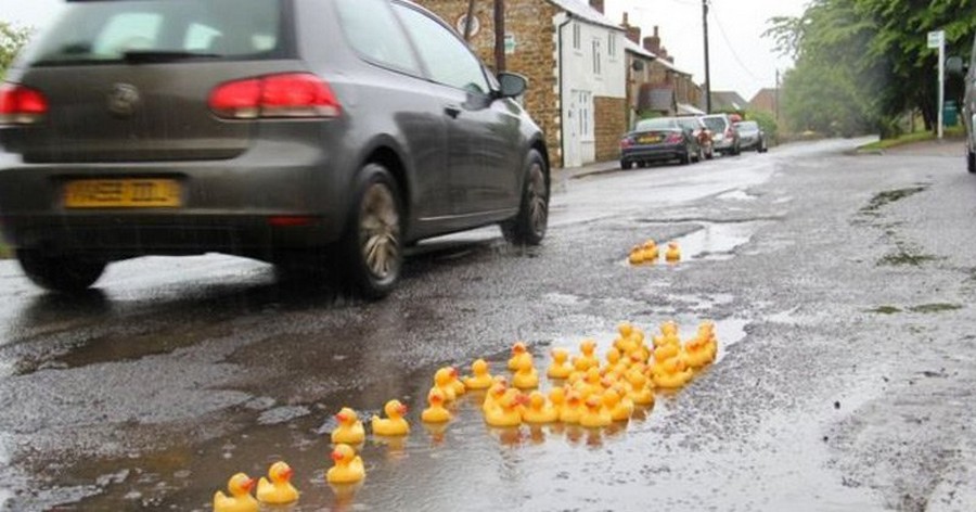 Daily Pictures. Part 2 (70 pics)