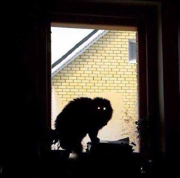 Daily Pictures. Part 2 (70 pics)