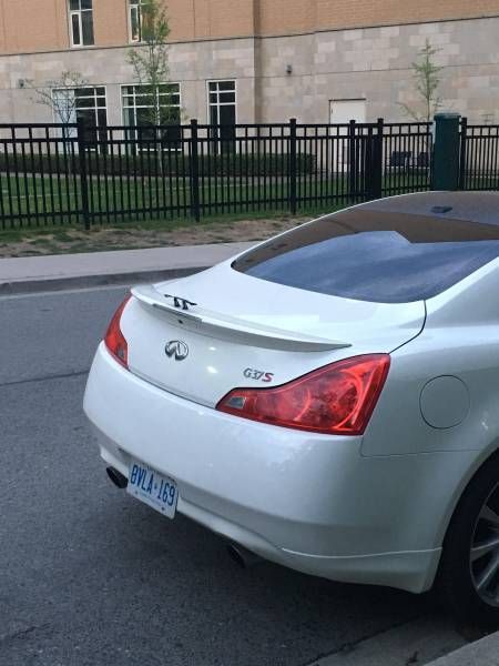 Daily Pictures. Part 1 (71 pics)