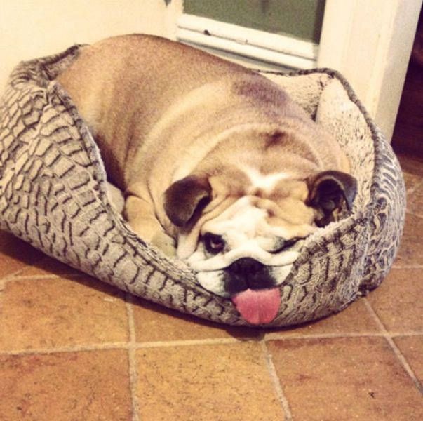 Daily Pictures. Part 1 (71 pics)