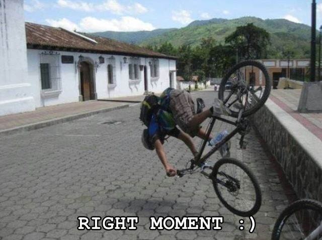 Daily Pictures. Part 2 (70 pics)