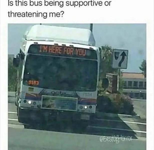 Daily Pictures. Part 2 (70 pics)