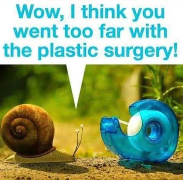 Daily Pictures. Part 2 (70 pics)