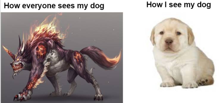 Daily Pictures. Part 2 (70 pics)