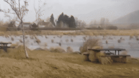 Acid GIFs, March 24 (25 gifs)