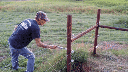 Acid GIFs, March 24 (25 gifs)