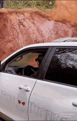 Acid GIFs, March 24 (25 gifs)