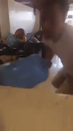 Acid GIFs, March 24 (25 gifs)