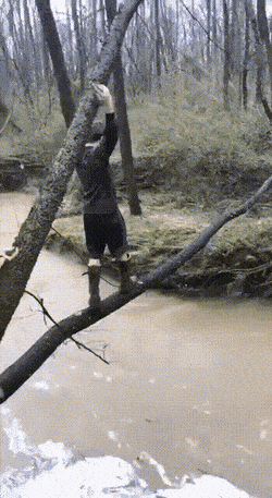 Acid GIFs, March 24 (25 gifs)