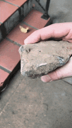 Acid GIFs, March 24 (25 gifs)