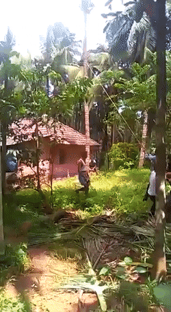 Acid GIFs, March 24 (25 gifs)