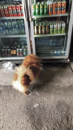 Acid GIFs, March 24 (25 gifs)