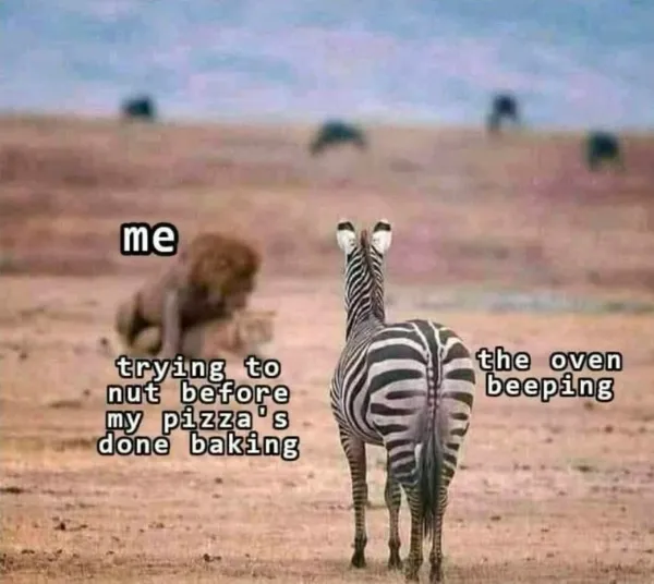 Truthful Memes (25 pics)