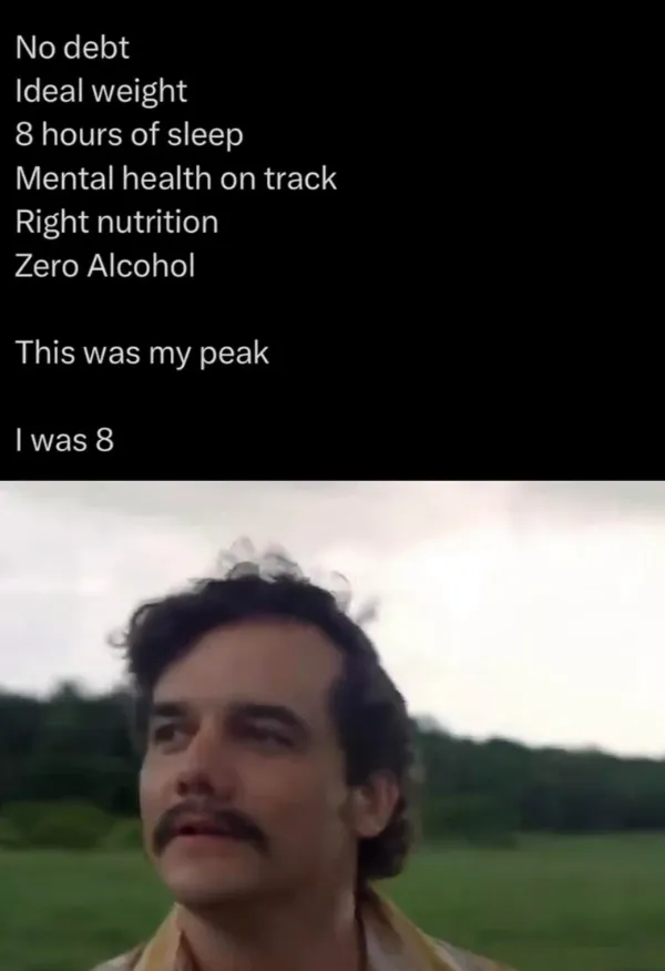 Truthful Memes (25 pics)