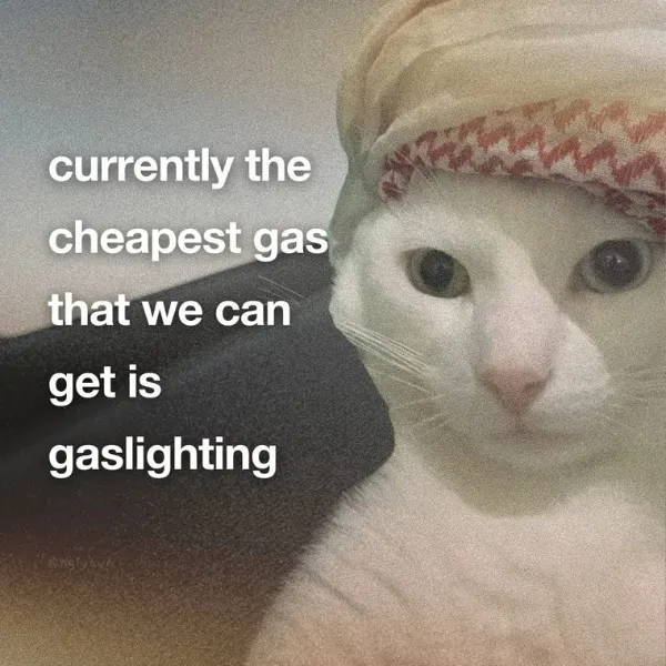 Truthful Memes (25 pics)