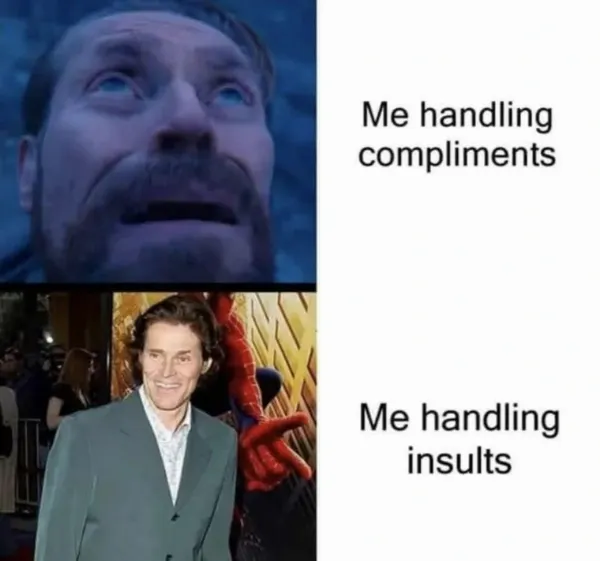 Truthful Memes (25 pics)