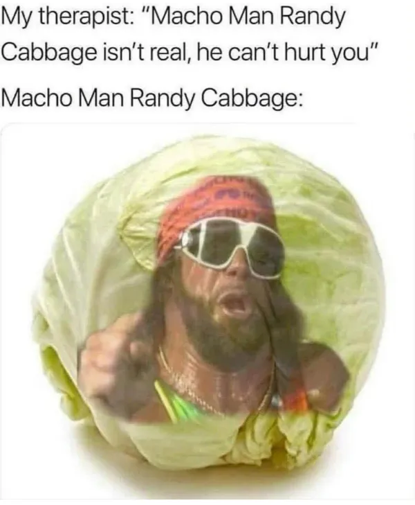 Truthful Memes (25 pics)