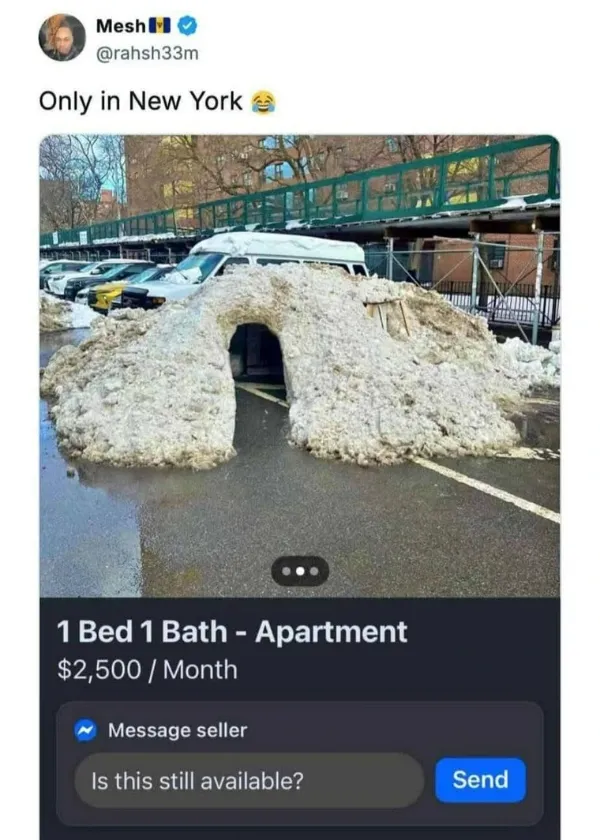 Truthful Memes (25 pics)