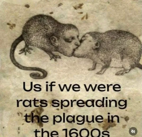 Truthful Memes (25 pics)