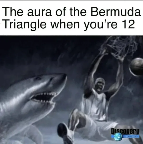 Truthful Memes (25 pics)