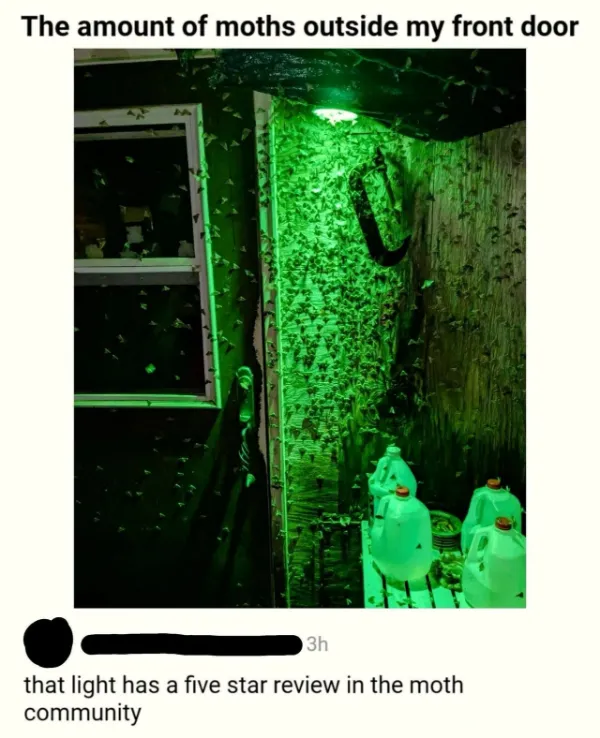 Truthful Memes (25 pics)