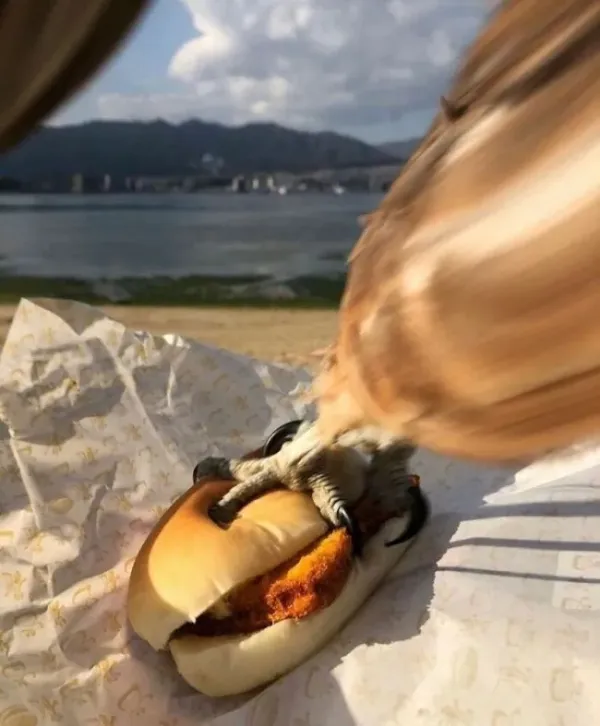 Right Moment (20 pics)