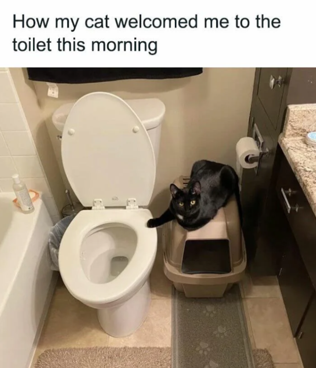 Memes With Cats (20 pics)